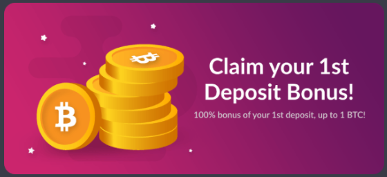 OneHash bonus offer