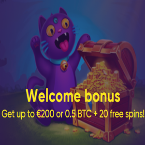 Baocasino 100% Welcome Bonus