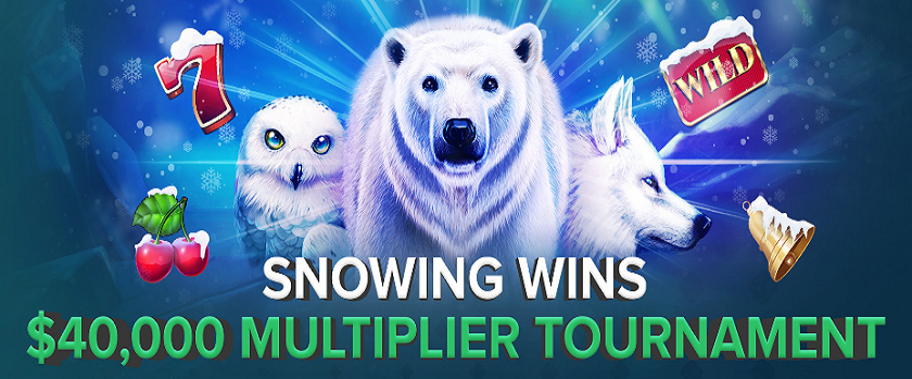 Duelbits Snowing Wins Tournament $40,000 Prize Pool