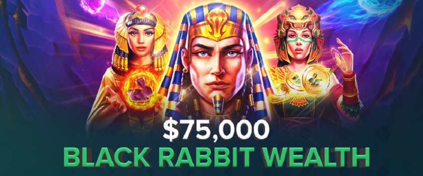 Duelbits Black Rabbit Tournament with a $75,000 Prize Pool