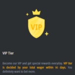 Rocket.run VIP Rewards
