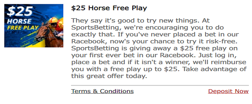 SportsBetting.ag Racebook $25 Risk-Free Bet with $25 Cashback