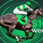 Sportsbet.io Horse Racing Weekly Leaderboard with a $1,000 Prize