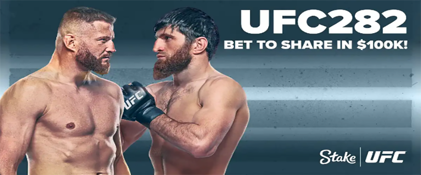 Stake UFC 282 Giveaway $100,000 Prize Pool