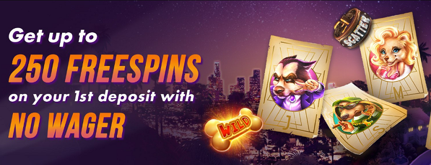 Chipstars.bet Bonus Offers and Cashback
