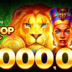 Fortune Panda Playson Non-Stop Drop €1,000,000 Prize Pool