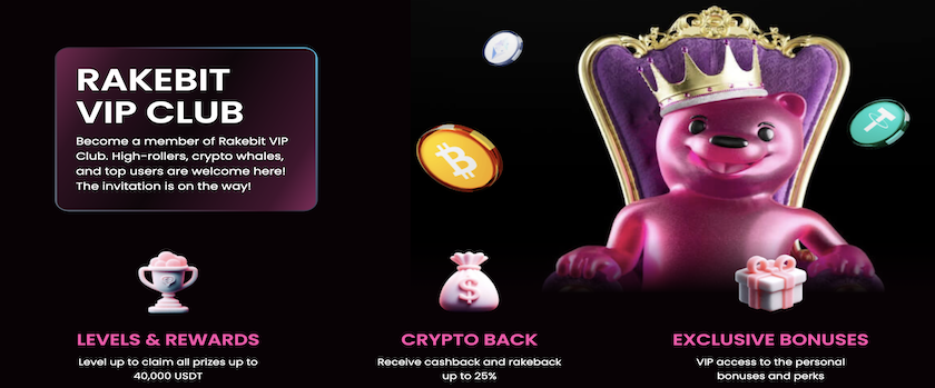 RakeBit VIP Bonuses and Benefits